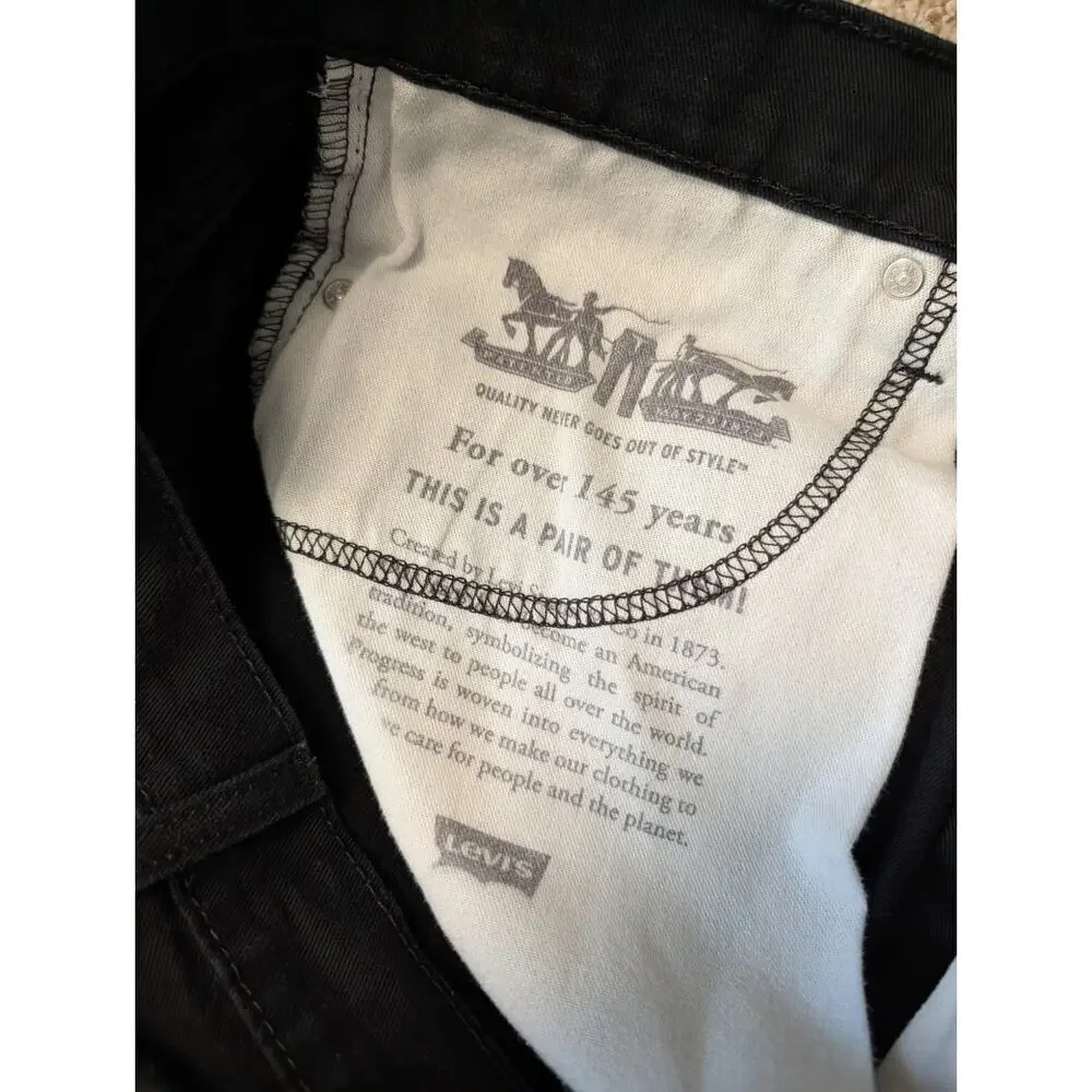 Levis levi 313